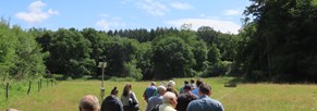 Alte Backsteinfabrik Dirmingen: Erstes NLS-Projekt
